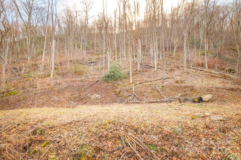 93 Patchens Estate Road Waynesville NC 28786