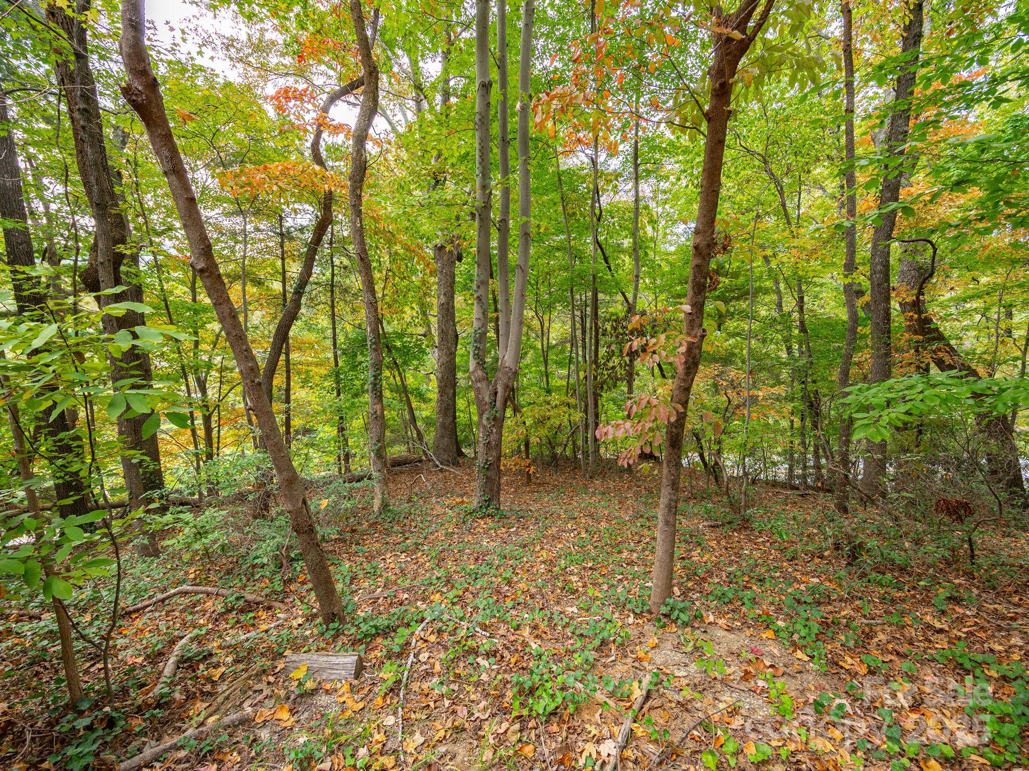 00 Fox Trot Lane Tryon NC 28782