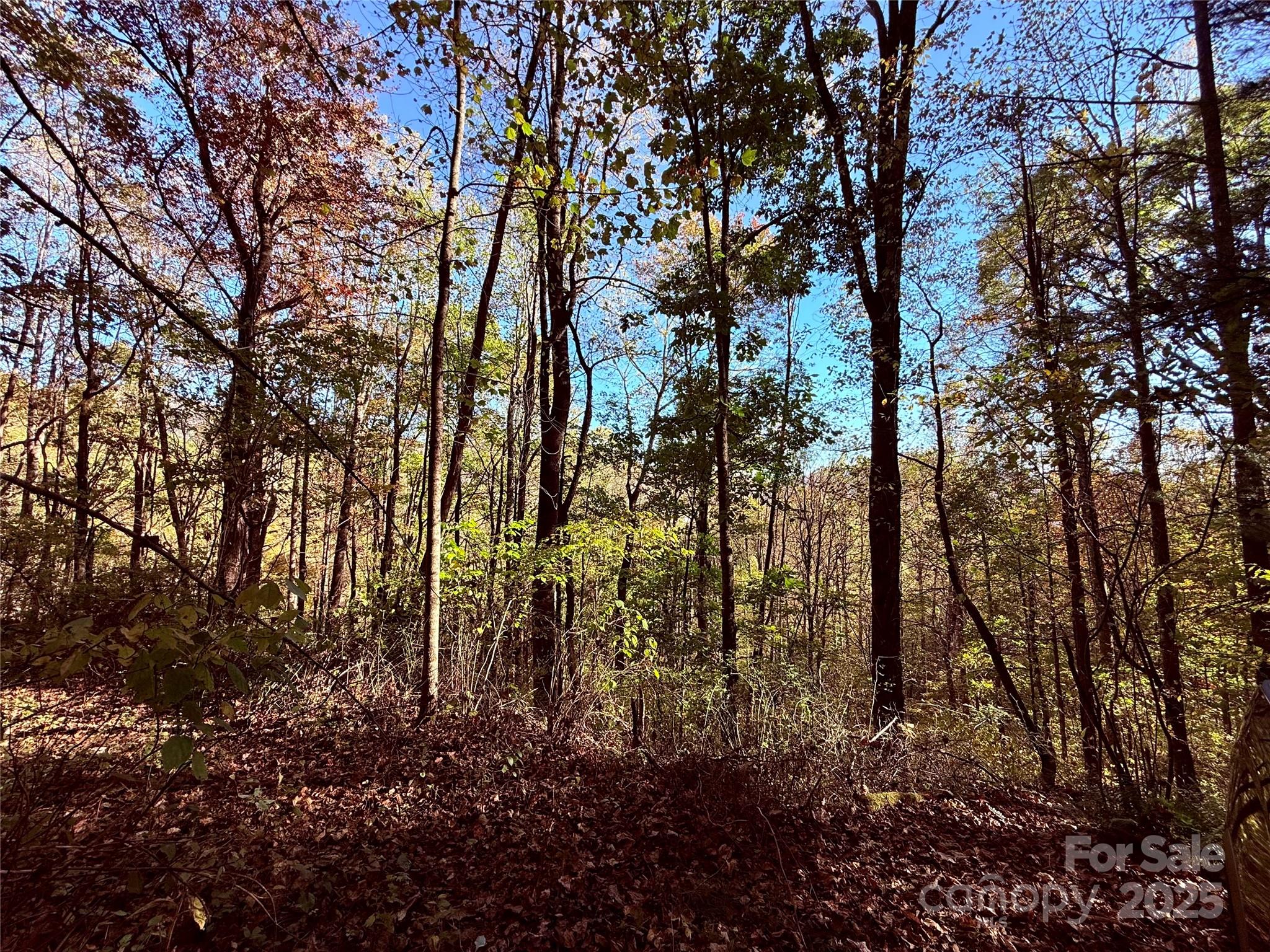 Tbd Happy Ridge Lane Sylva NC 28779