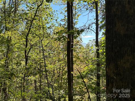 Tbd Happy Ridge Lane Sylva NC 28779