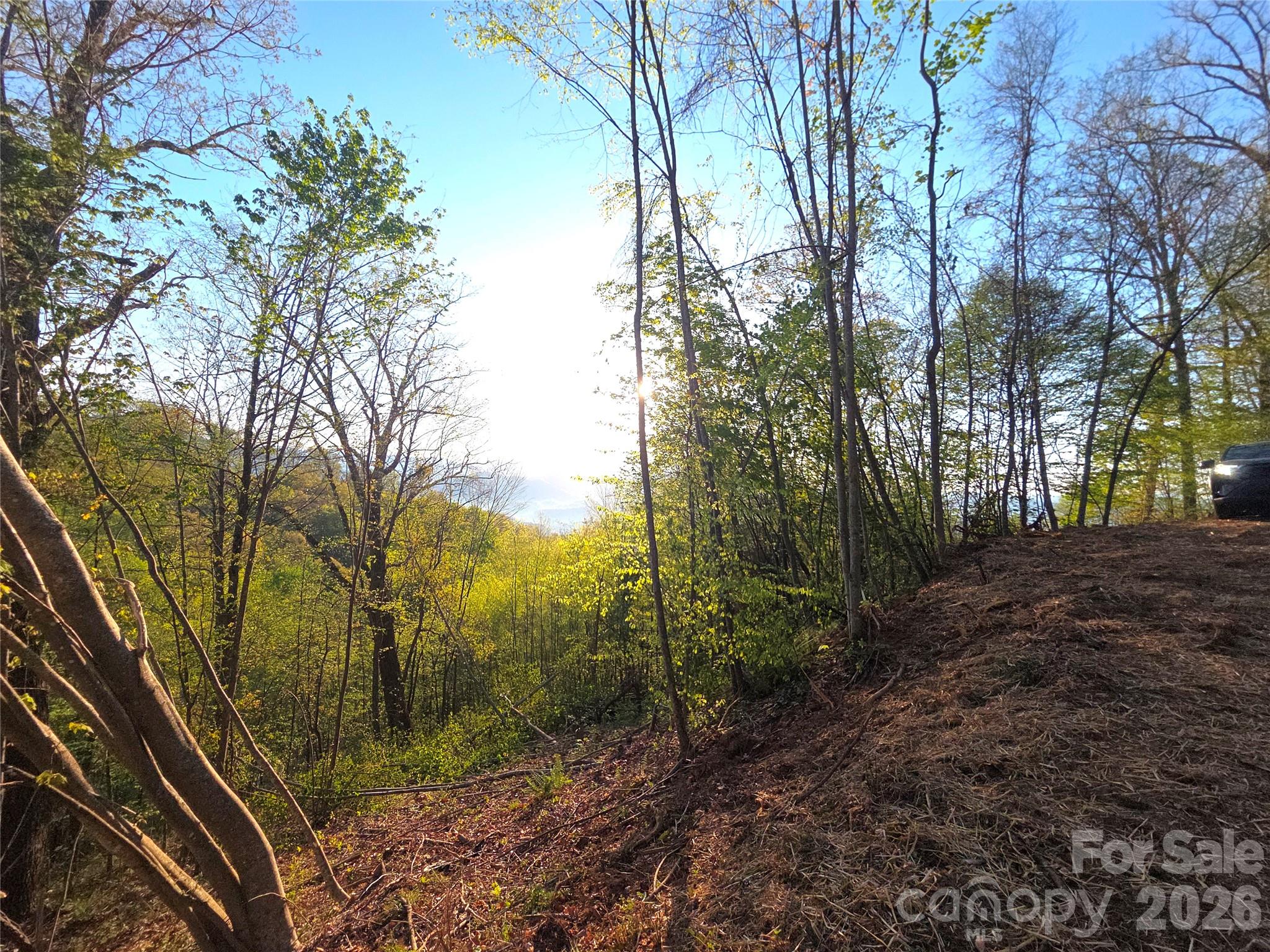 3355 Utah Mountain Road Waynesville NC 28785