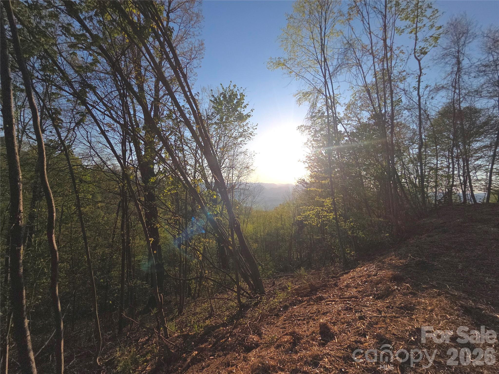 3355 Utah Mountain Road Waynesville NC 28785