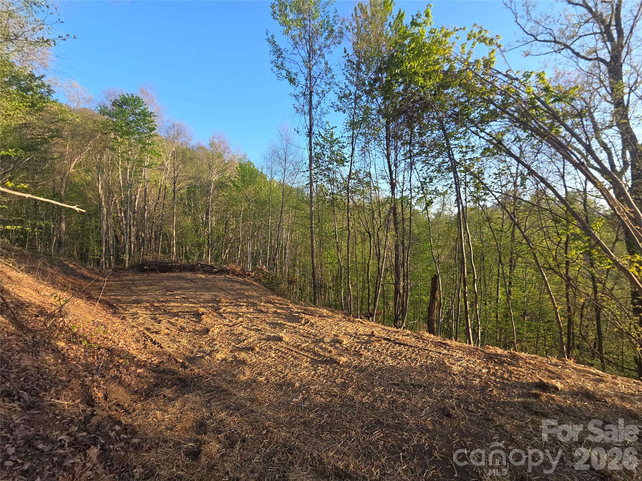 3355 Utah Mountain Road Waynesville NC 28785