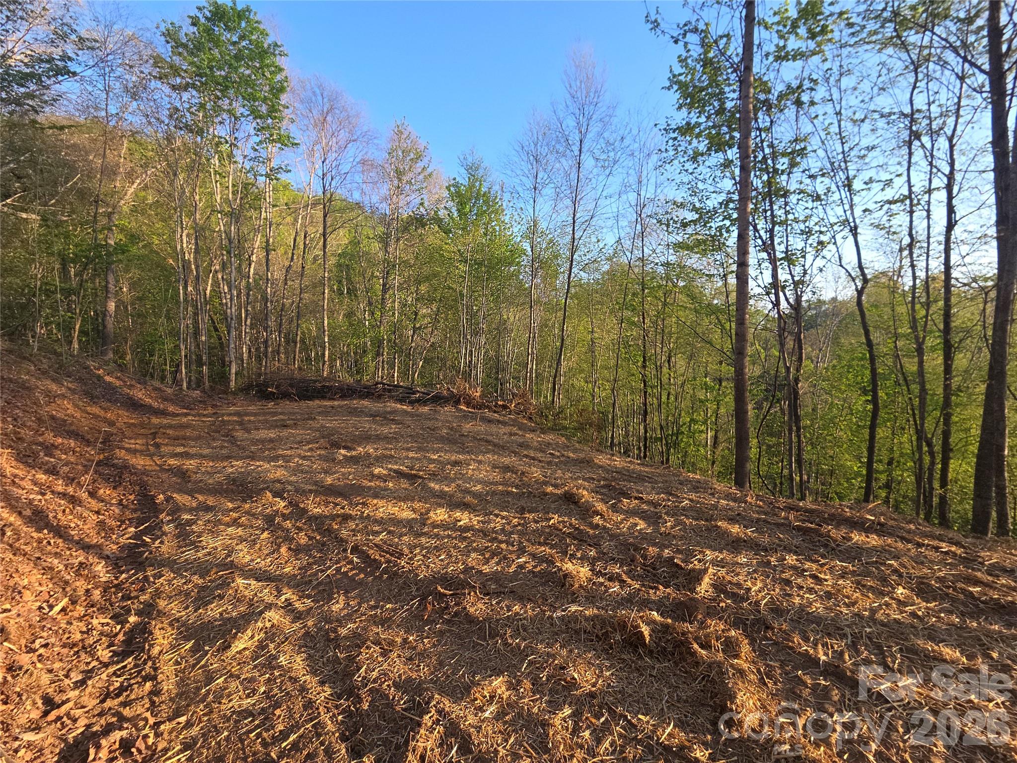 3355 Utah Mountain Road Waynesville NC 28785