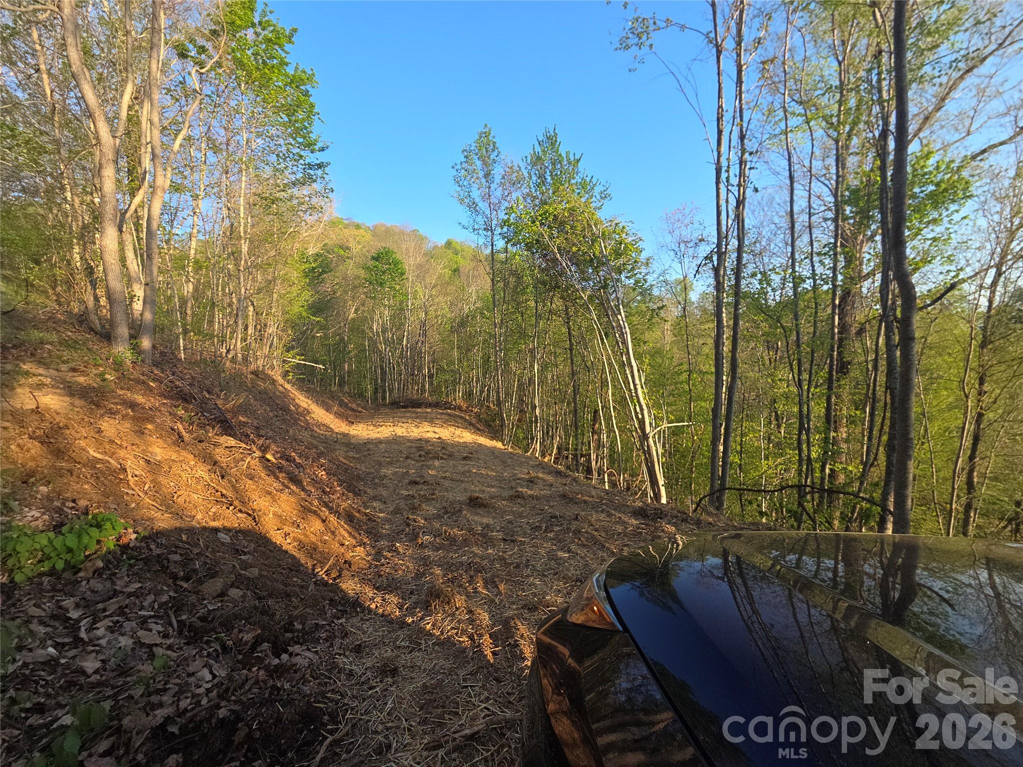 3355 Utah Mountain Road Waynesville NC 28785