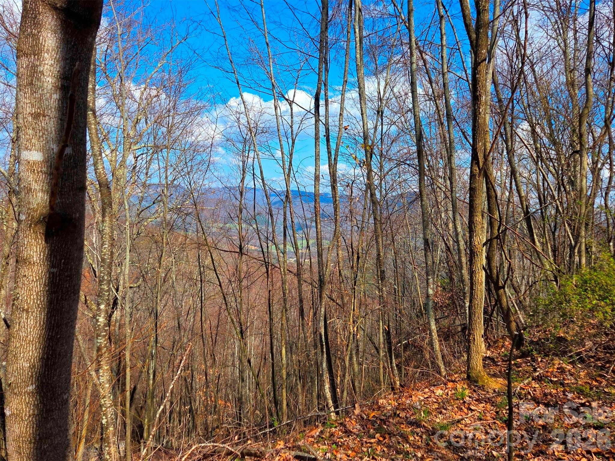 3355 Utah Mountain Road Waynesville NC 28785