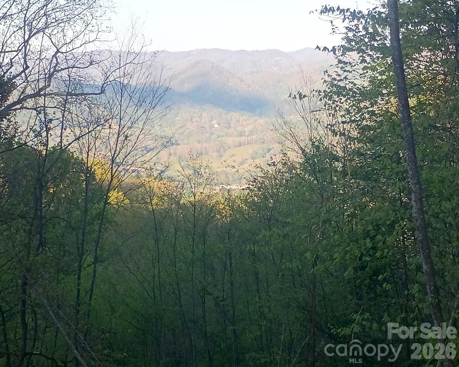 3355 Utah Mountain Road Waynesville NC 28785
