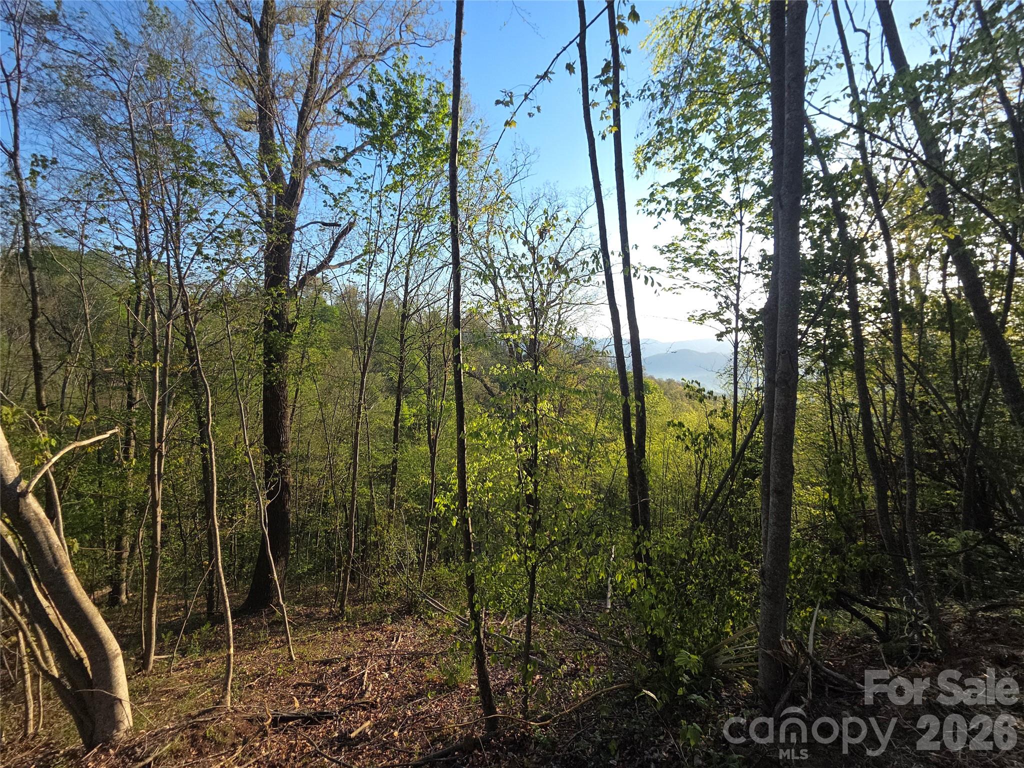 3355 Utah Mountain Road Waynesville NC 28785