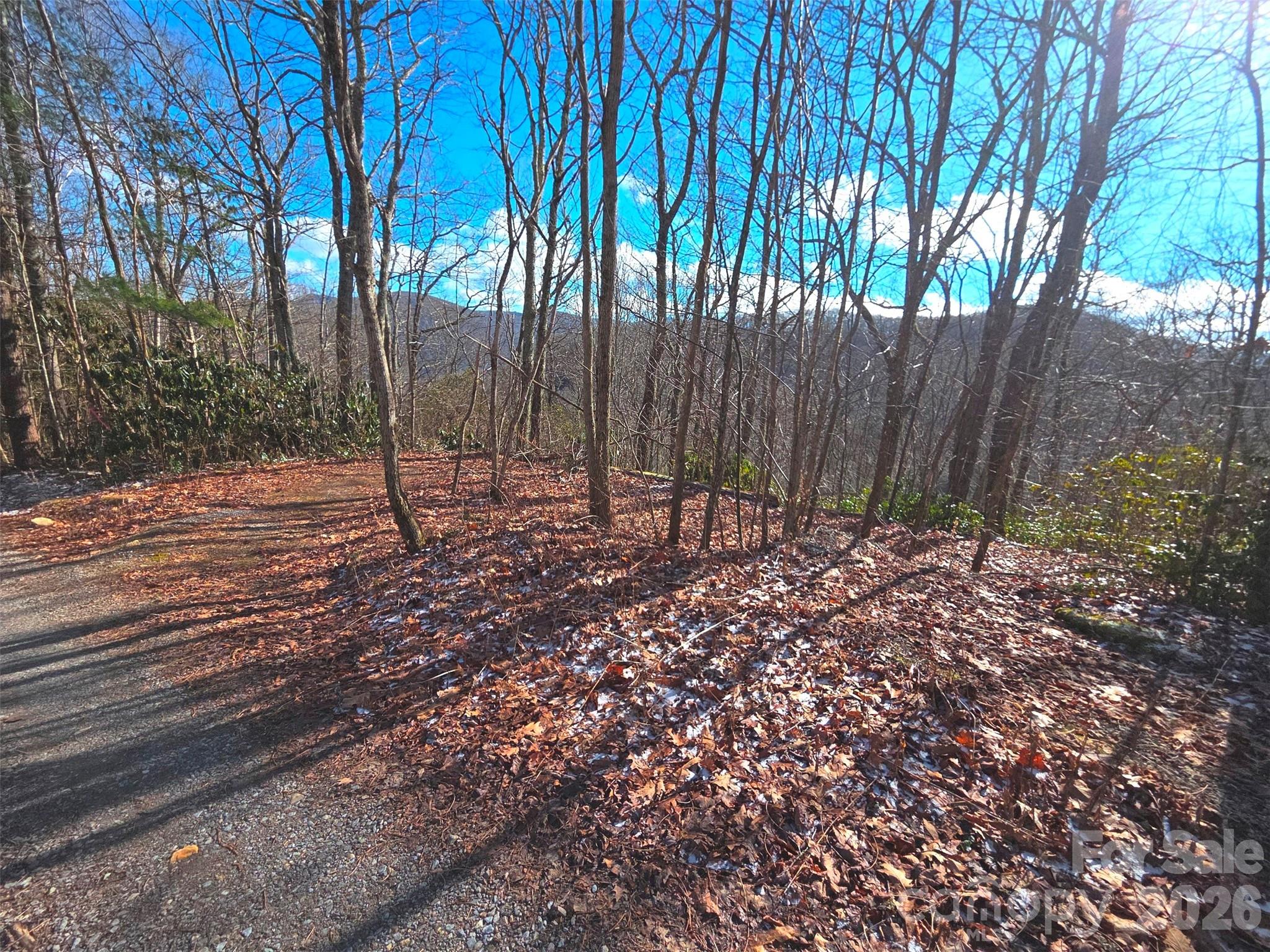 550 Sky Drive Maggie Valley NC 28751