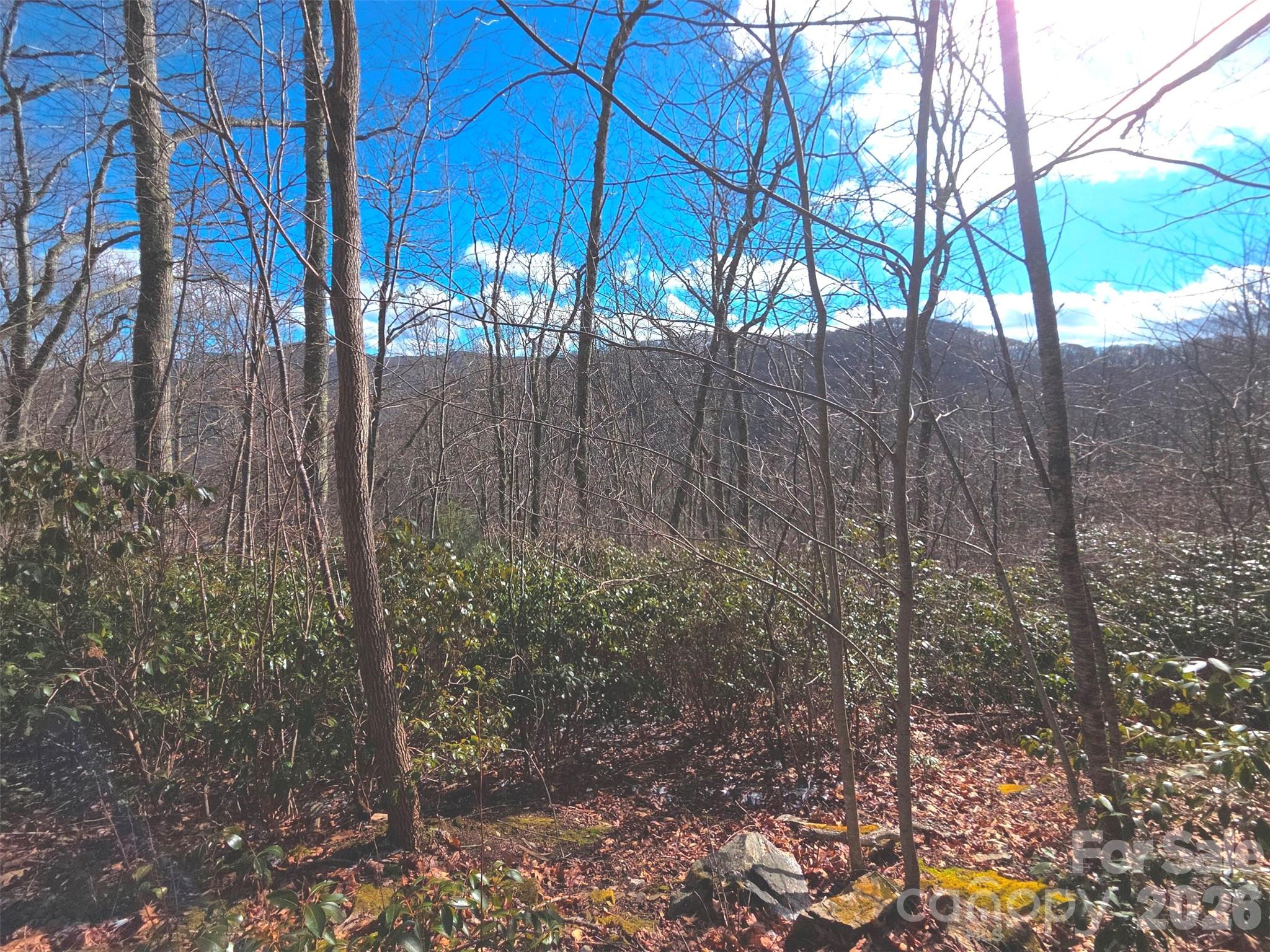 550 Sky Drive Maggie Valley NC 28751