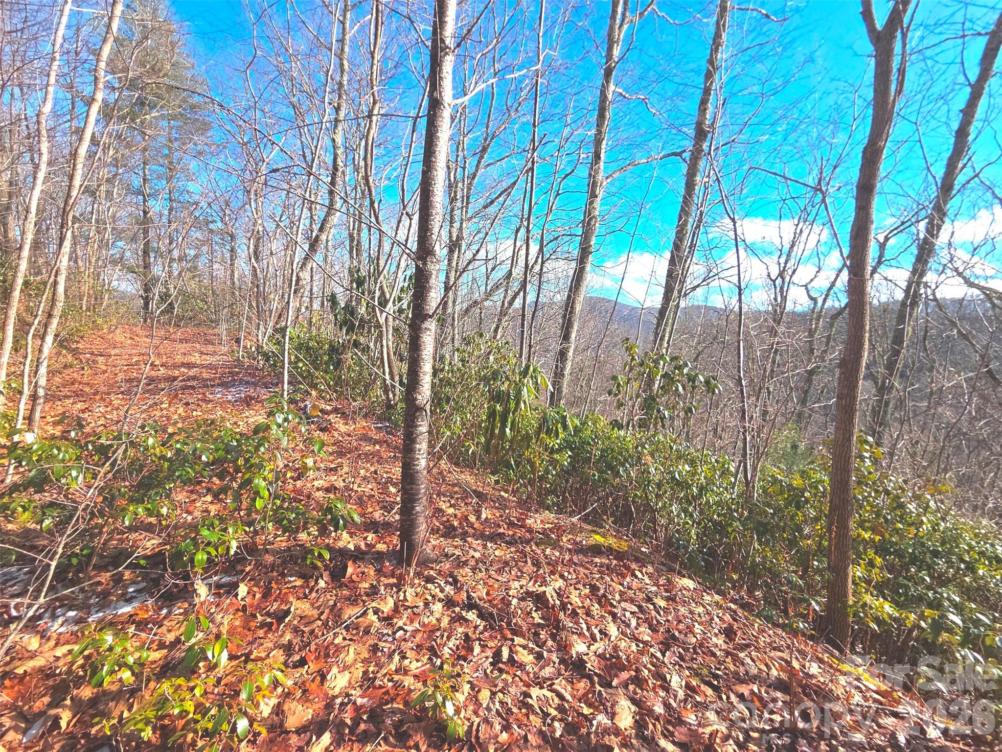 550 Sky Drive Maggie Valley NC 28751