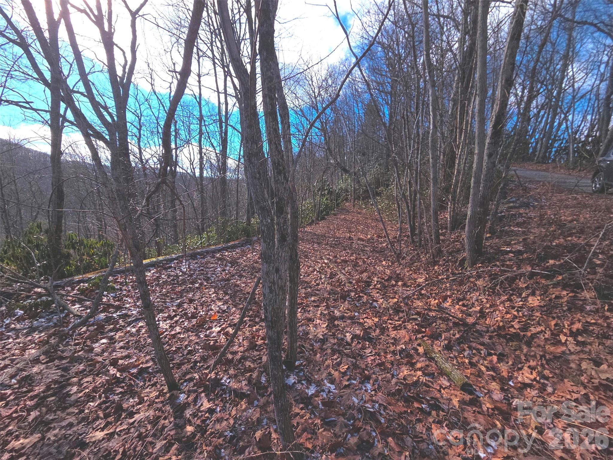 550 Sky Drive Maggie Valley NC 28751