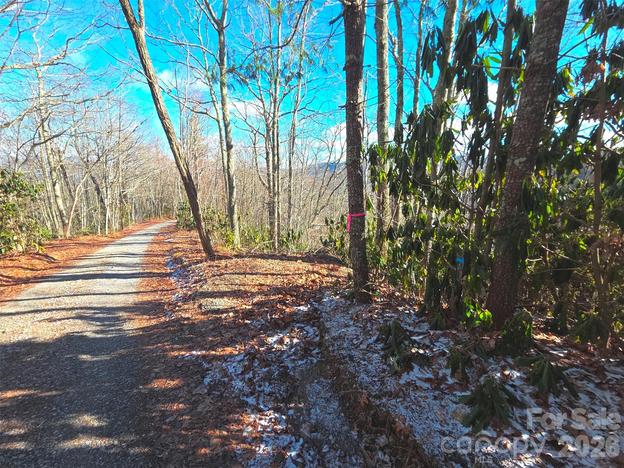 550 Sky Drive Maggie Valley NC 28751