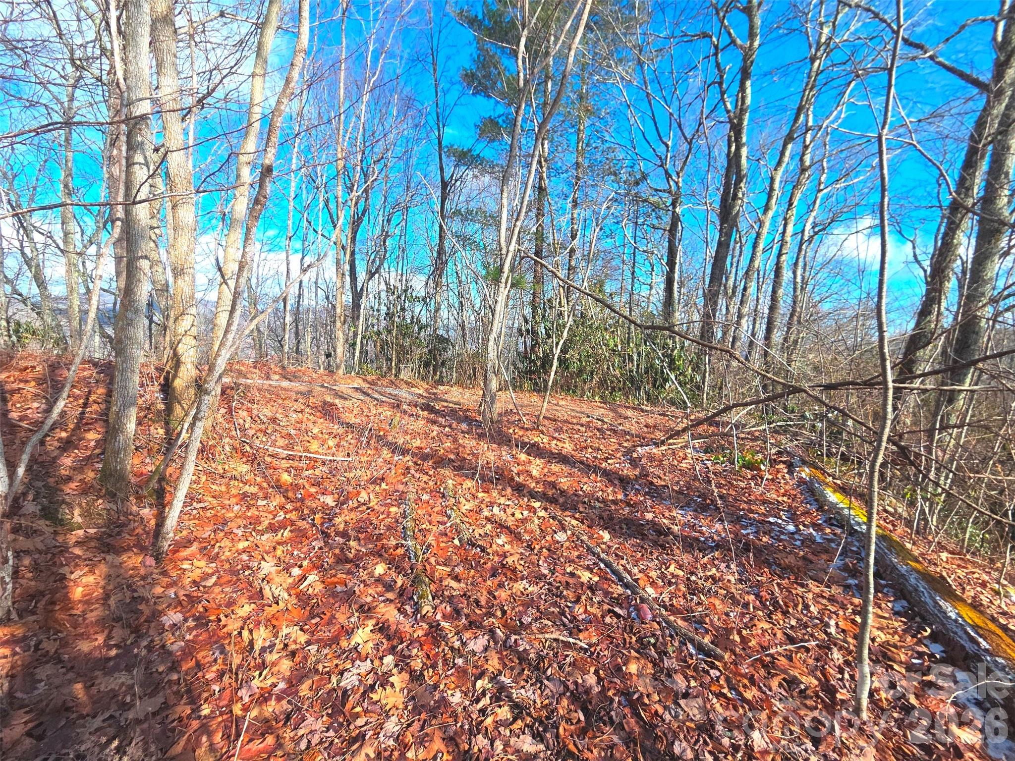 550 Sky Drive Maggie Valley NC 28751