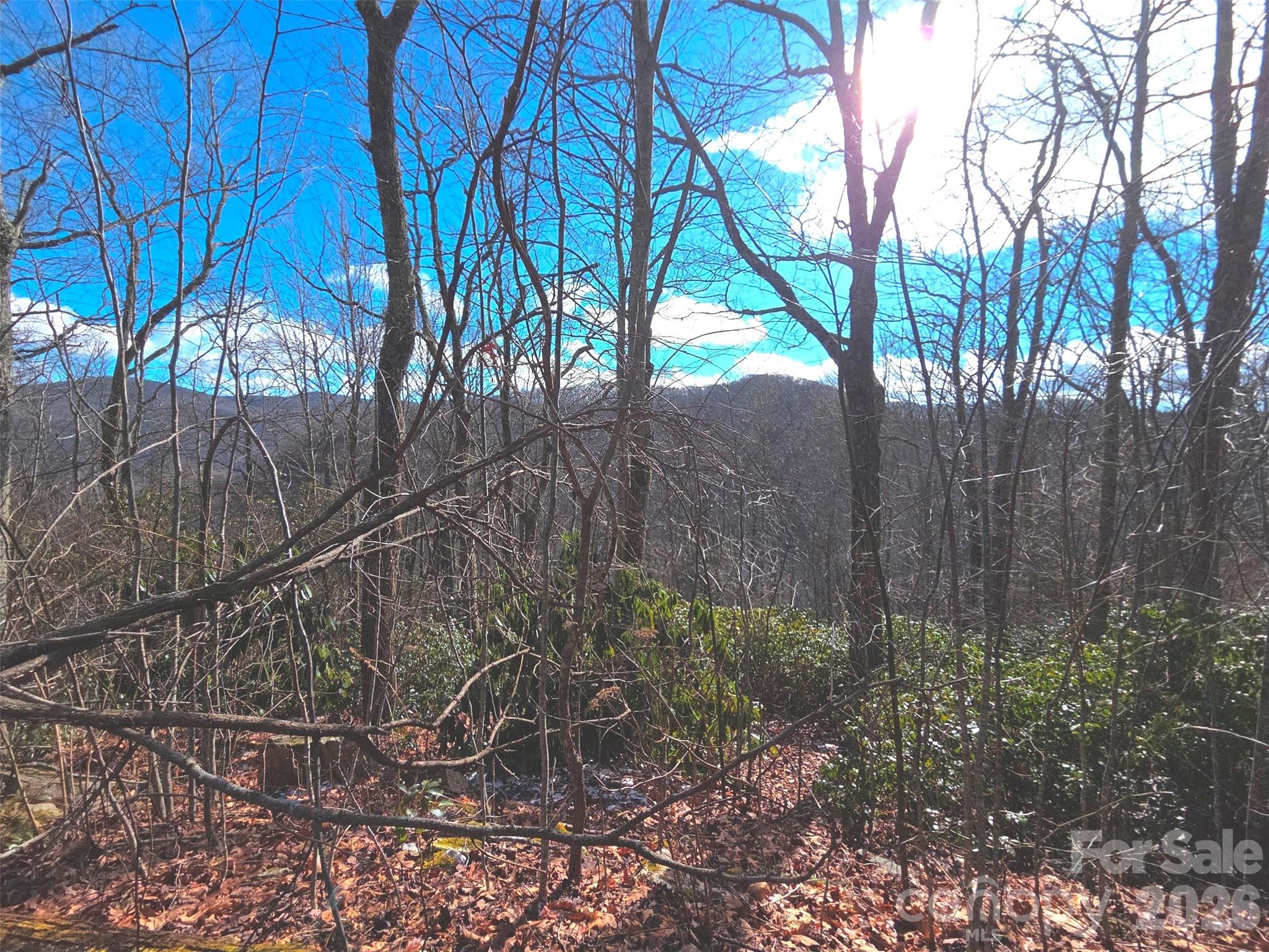 550 Sky Drive Maggie Valley NC 28751