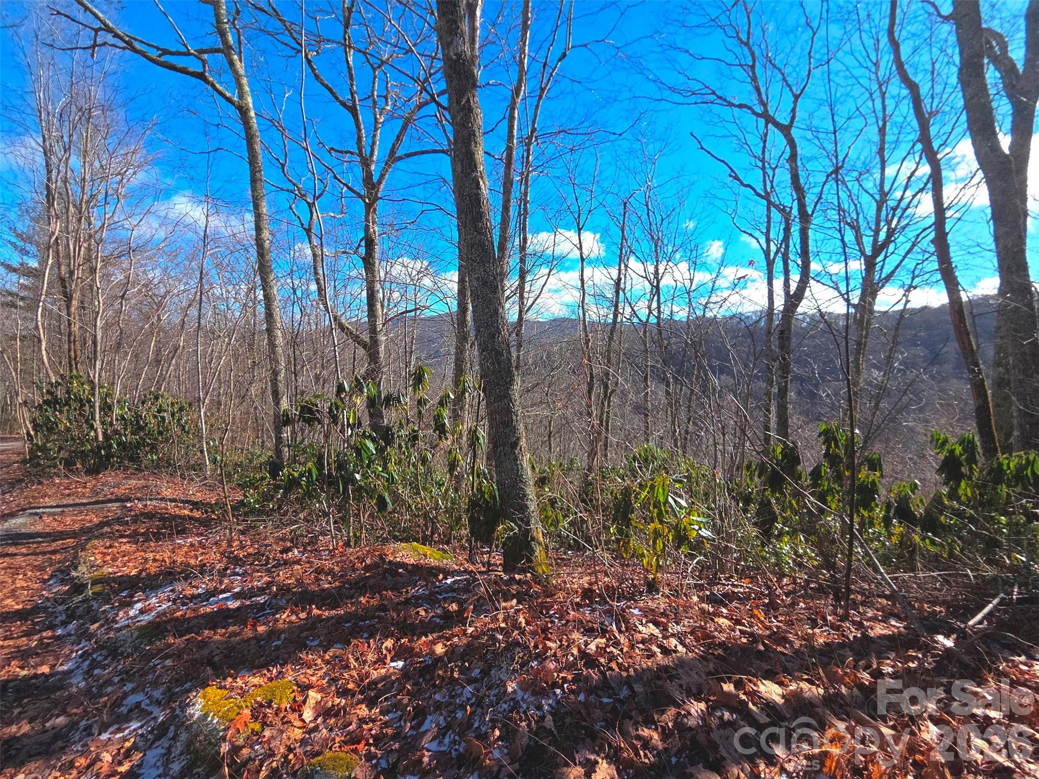 550 Sky Drive Maggie Valley NC 28751