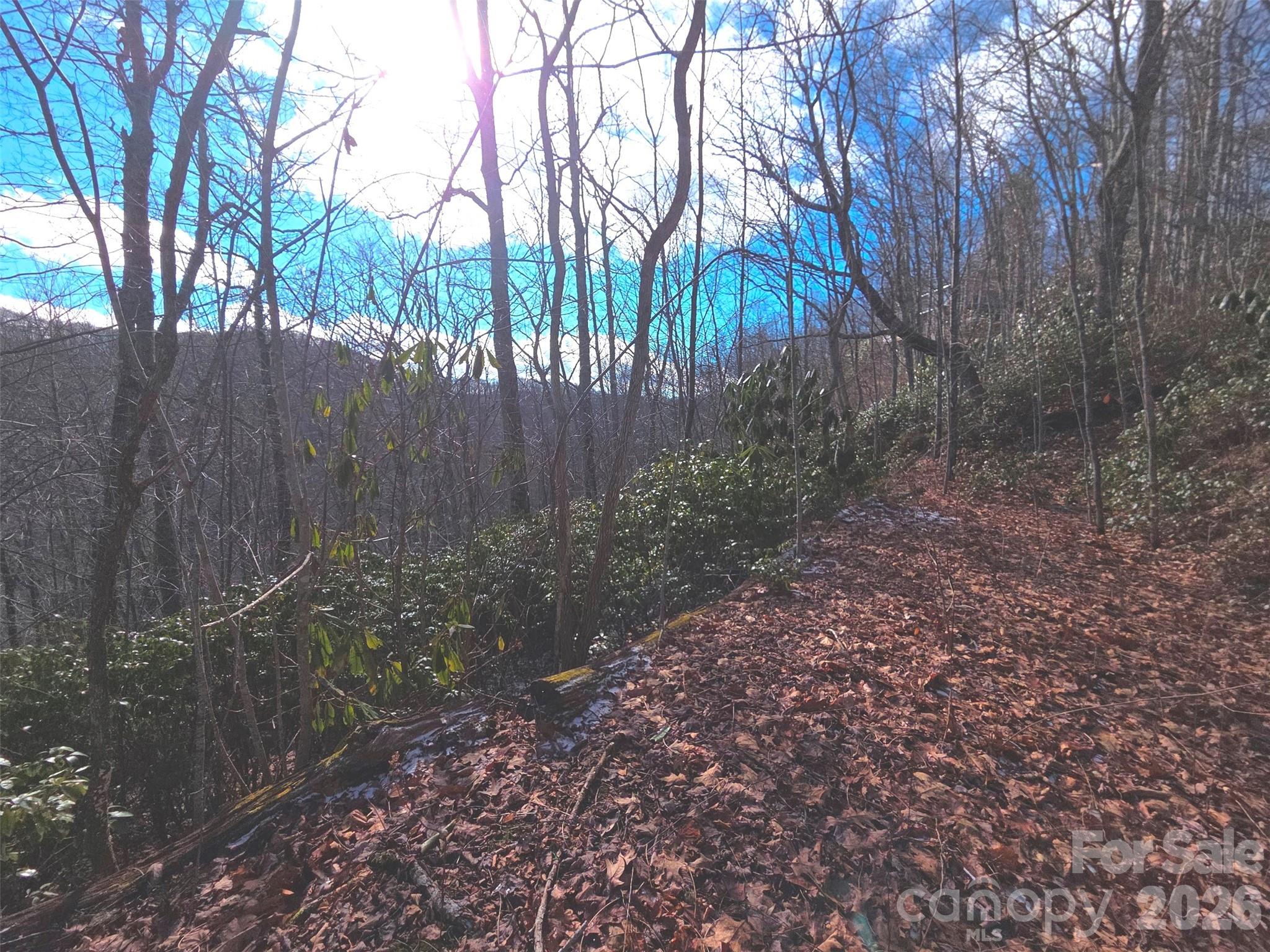 550 Sky Drive Maggie Valley NC 28751