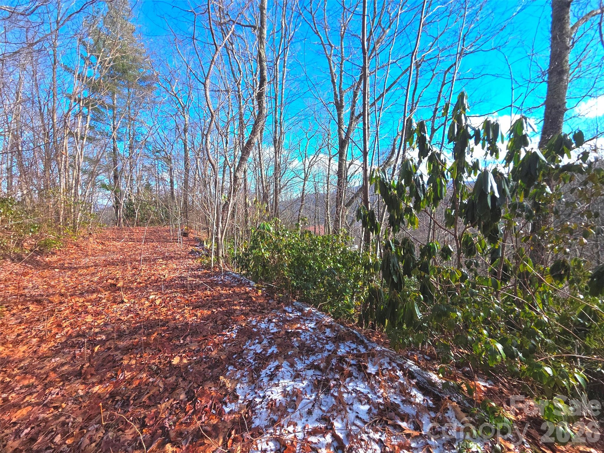 550 Sky Drive Maggie Valley NC 28751