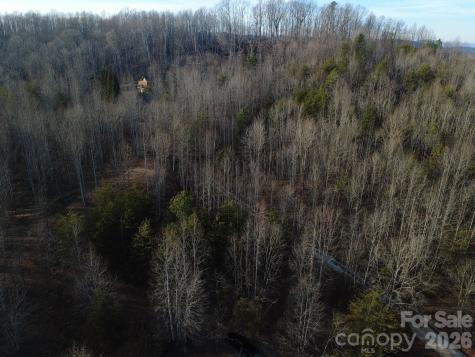 Lot 23 & 24 Double Eagle Drive Nebo NC 28761