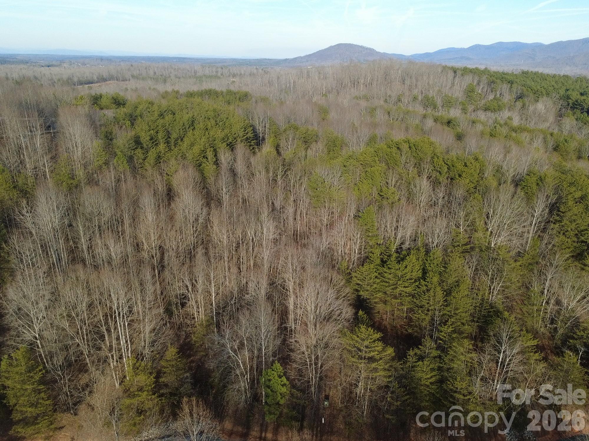 Lot 23 & 24 Double Eagle Drive Nebo NC 28761