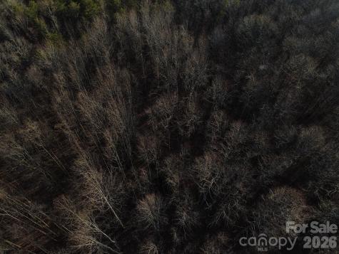 Lot 23 & 24 Double Eagle Drive Nebo NC 28761