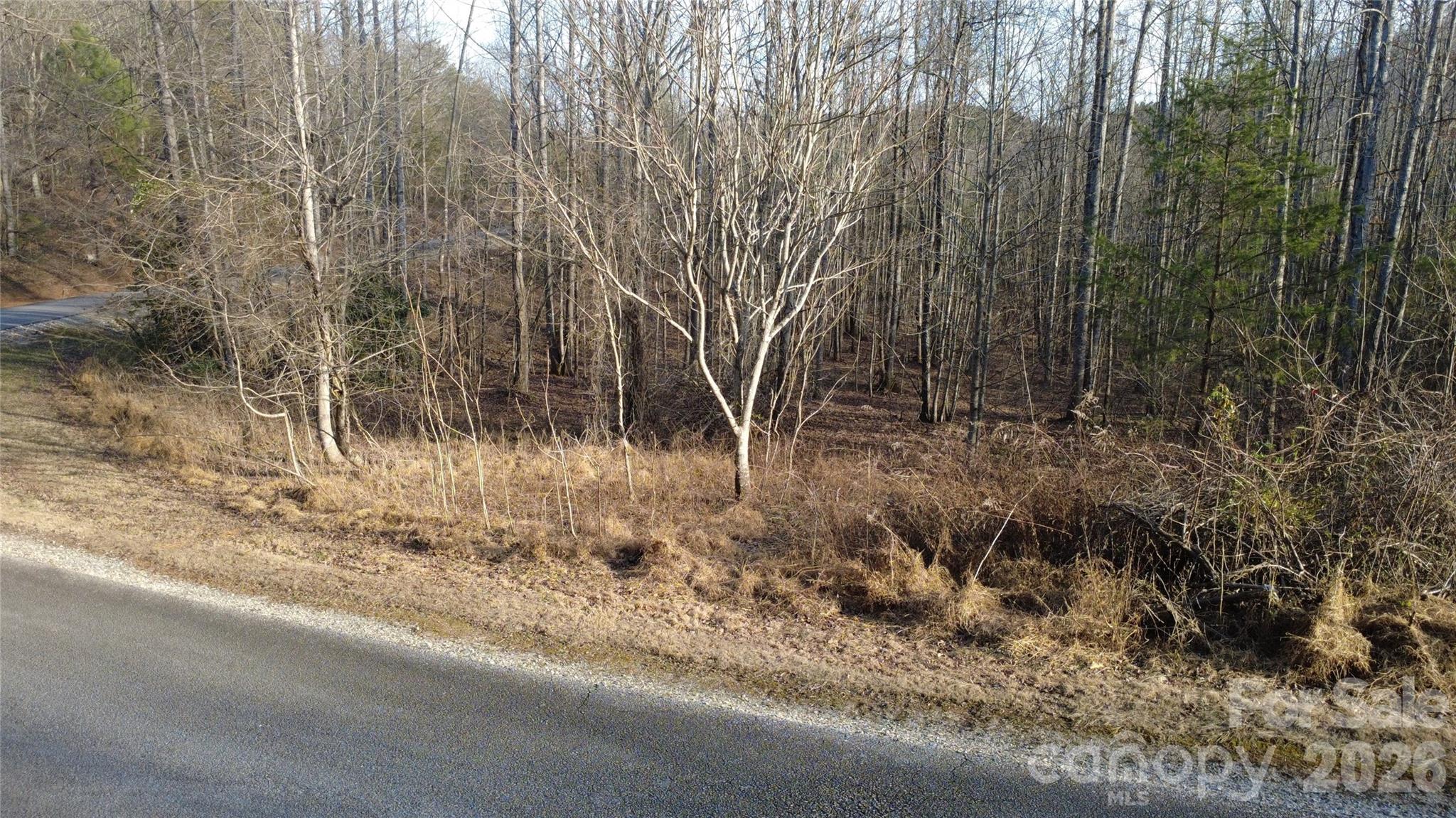 Lot 23 & 24 Double Eagle Drive Nebo NC 28761