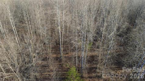 Lot 23 & 24 Double Eagle Drive Nebo NC 28761