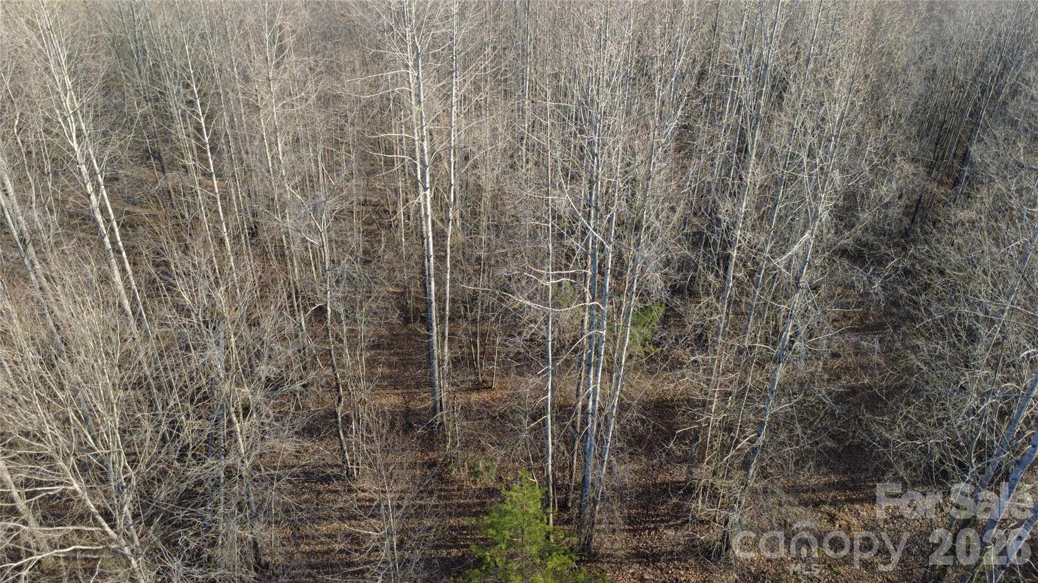 Lot 23 & 24 Double Eagle Drive Nebo NC 28761