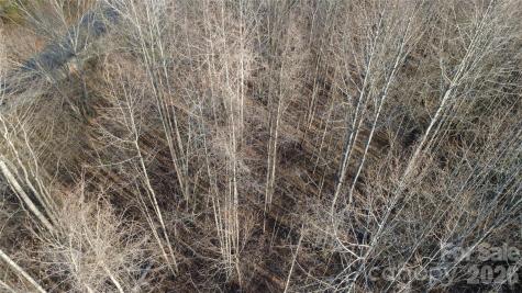 Lot 23 & 24 Double Eagle Drive Nebo NC 28761