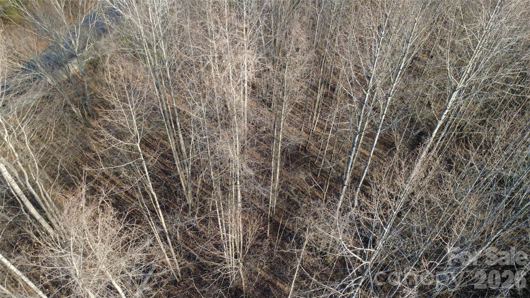 Lot 23 & 24 Double Eagle Drive Nebo NC 28761