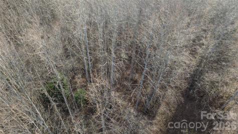 Lot 23 & 24 Double Eagle Drive Nebo NC 28761