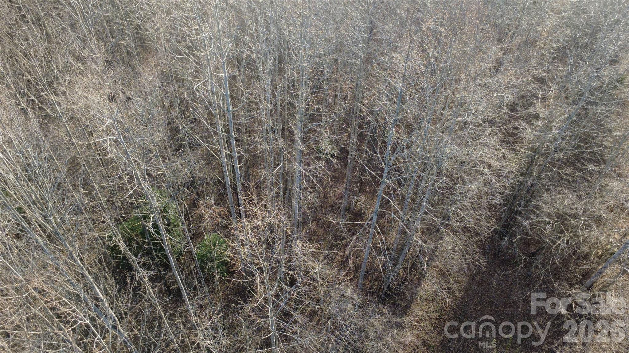 Lot 23 & 24 Double Eagle Drive Nebo NC 28761