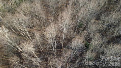 Lot 23 & 24 Double Eagle Drive Nebo NC 28761