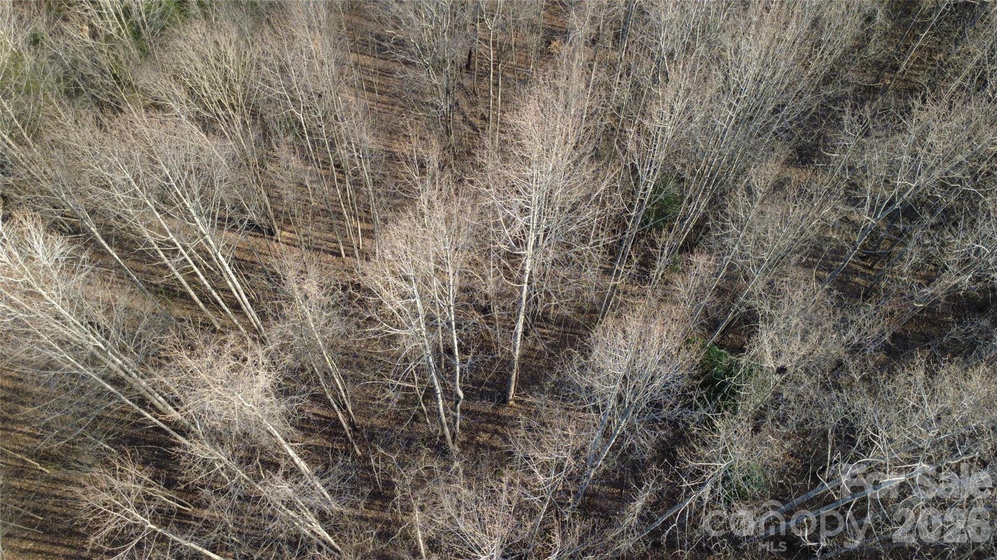 Lot 23 & 24 Double Eagle Drive Nebo NC 28761