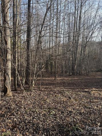 Lot 23 & 24 Double Eagle Drive Nebo NC 28761