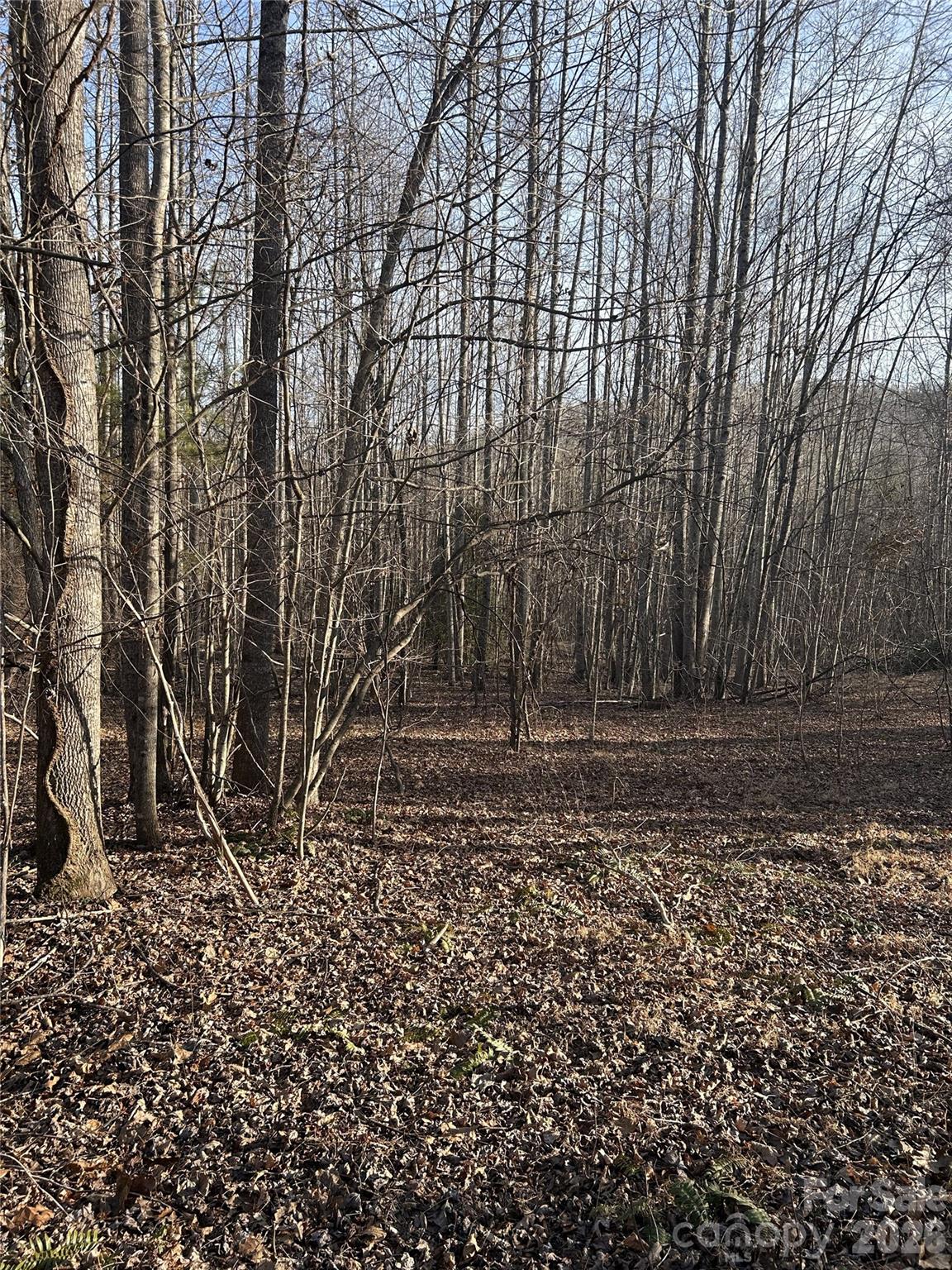 Lot 23 & 24 Double Eagle Drive Nebo NC 28761