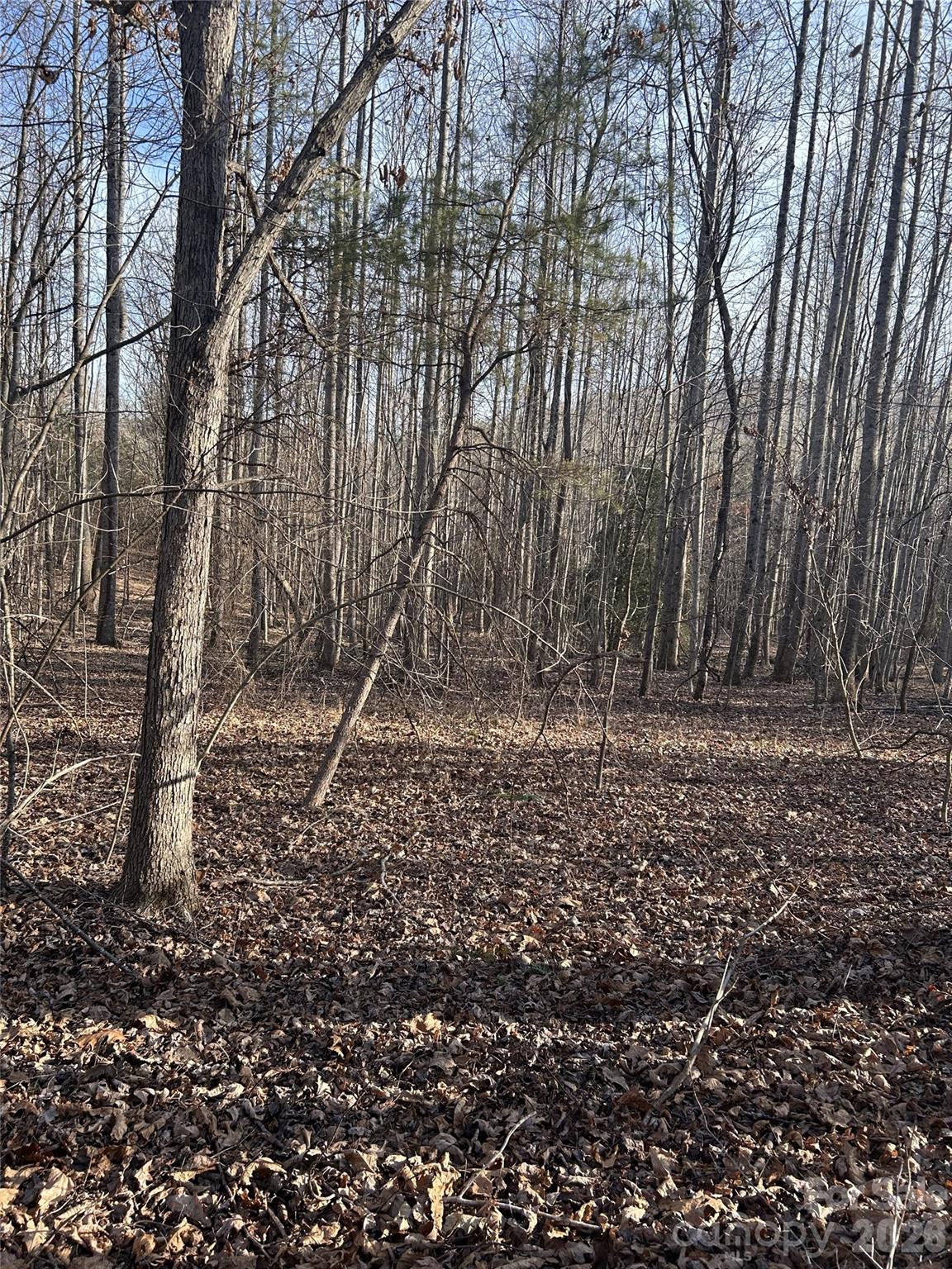 Lot 23 & 24 Double Eagle Drive Nebo NC 28761