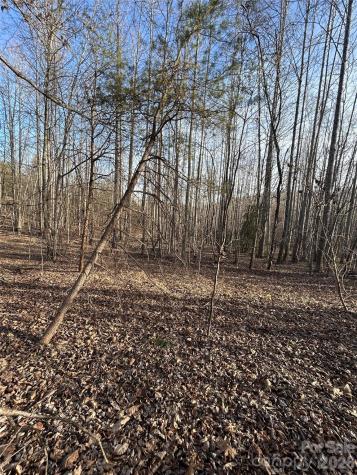 Lot 23 & 24 Double Eagle Drive Nebo NC 28761