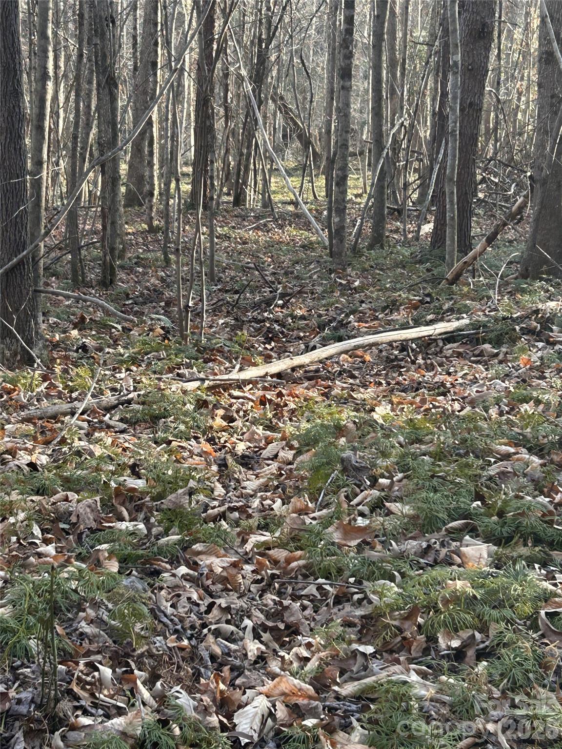 Lot 23 & 24 Double Eagle Drive Nebo NC 28761