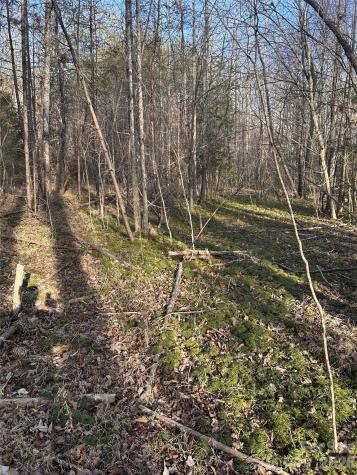 Lot 23 & 24 Double Eagle Drive Nebo NC 28761