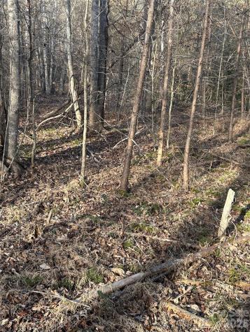 Lot 23 & 24 Double Eagle Drive Nebo NC 28761
