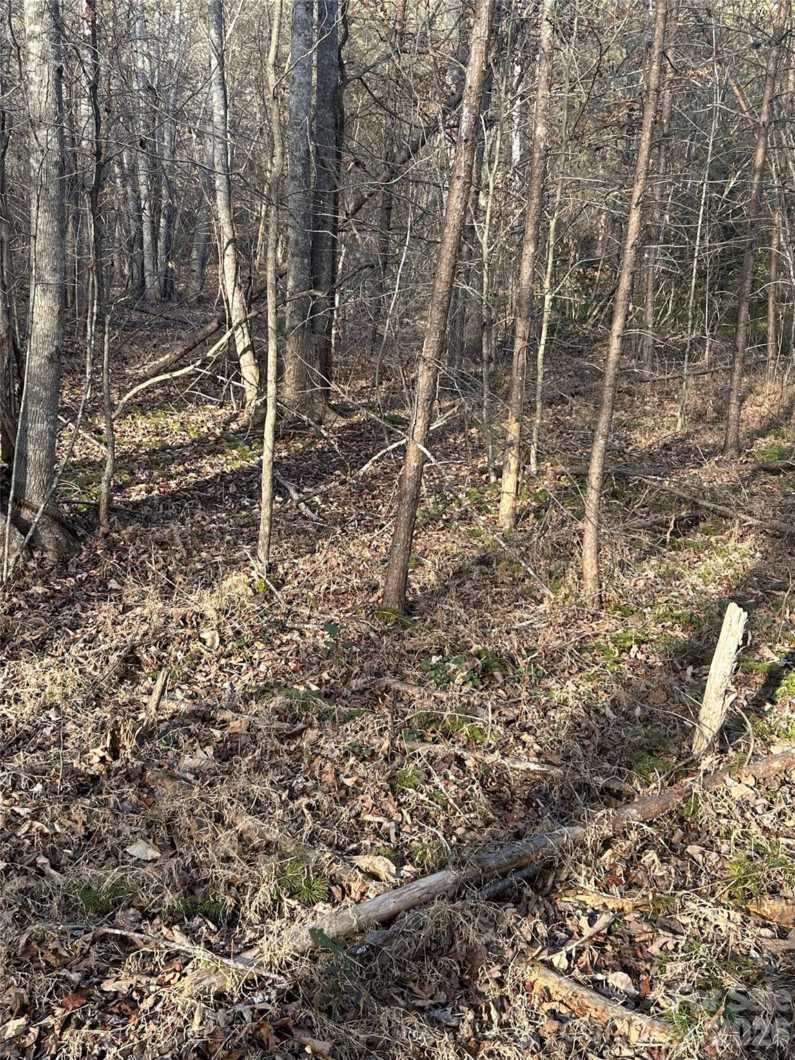Lot 23 & 24 Double Eagle Drive Nebo NC 28761
