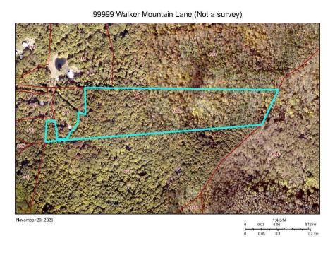 99999 Walker Mountain Lane Black Mountain NC 28711