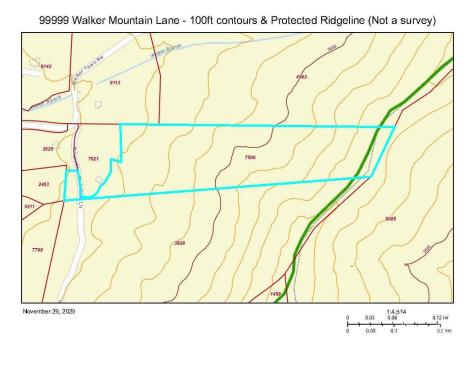 99999 Walker Mountain Lane Black Mountain NC 28711