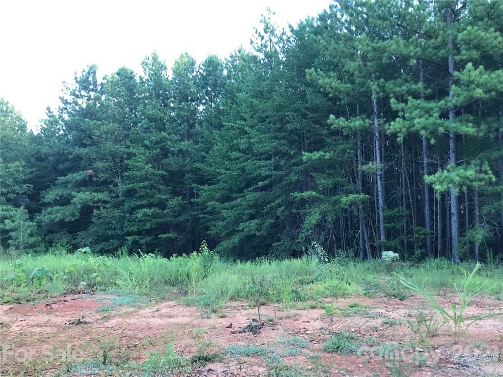 184 Pea Ridge Road Mill Spring NC 28756