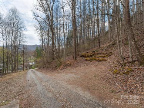 99999 Molasses Way Waynesville NC 28785