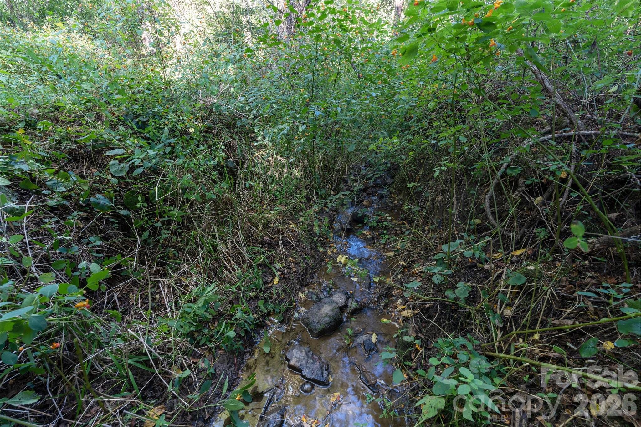 Tbd Crymes Cove Road Waynesville NC 28786