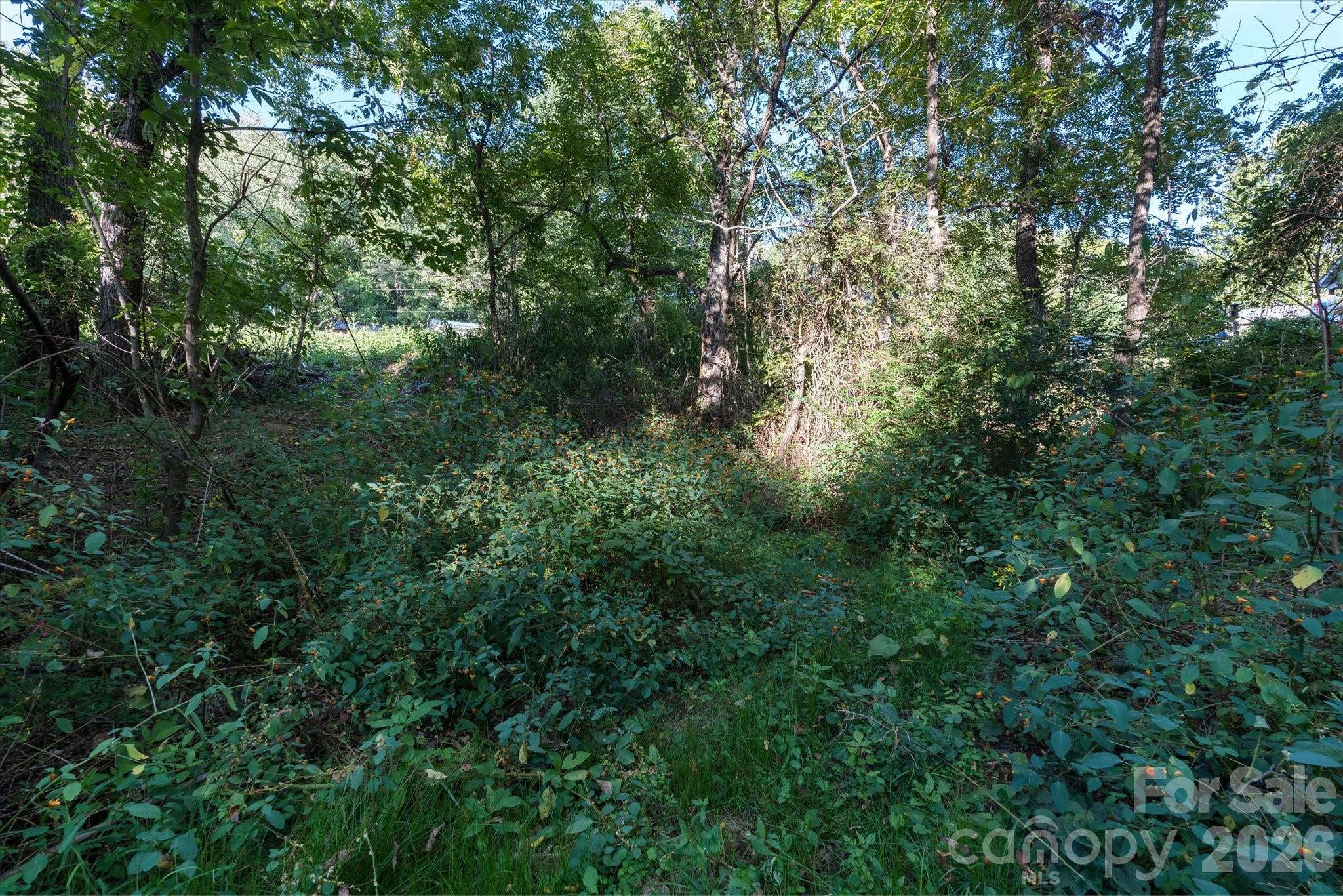Tbd Crymes Cove Road Waynesville NC 28786