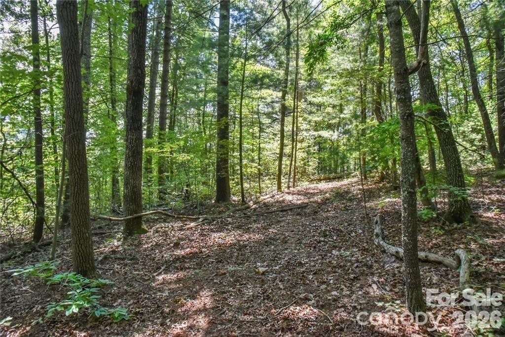 19 Laurel Loop Road Fairview NC 28730