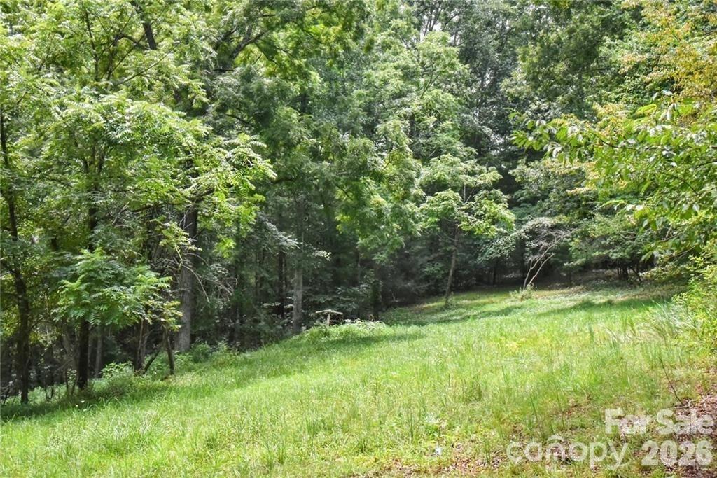 19 Laurel Loop Road Fairview NC 28730